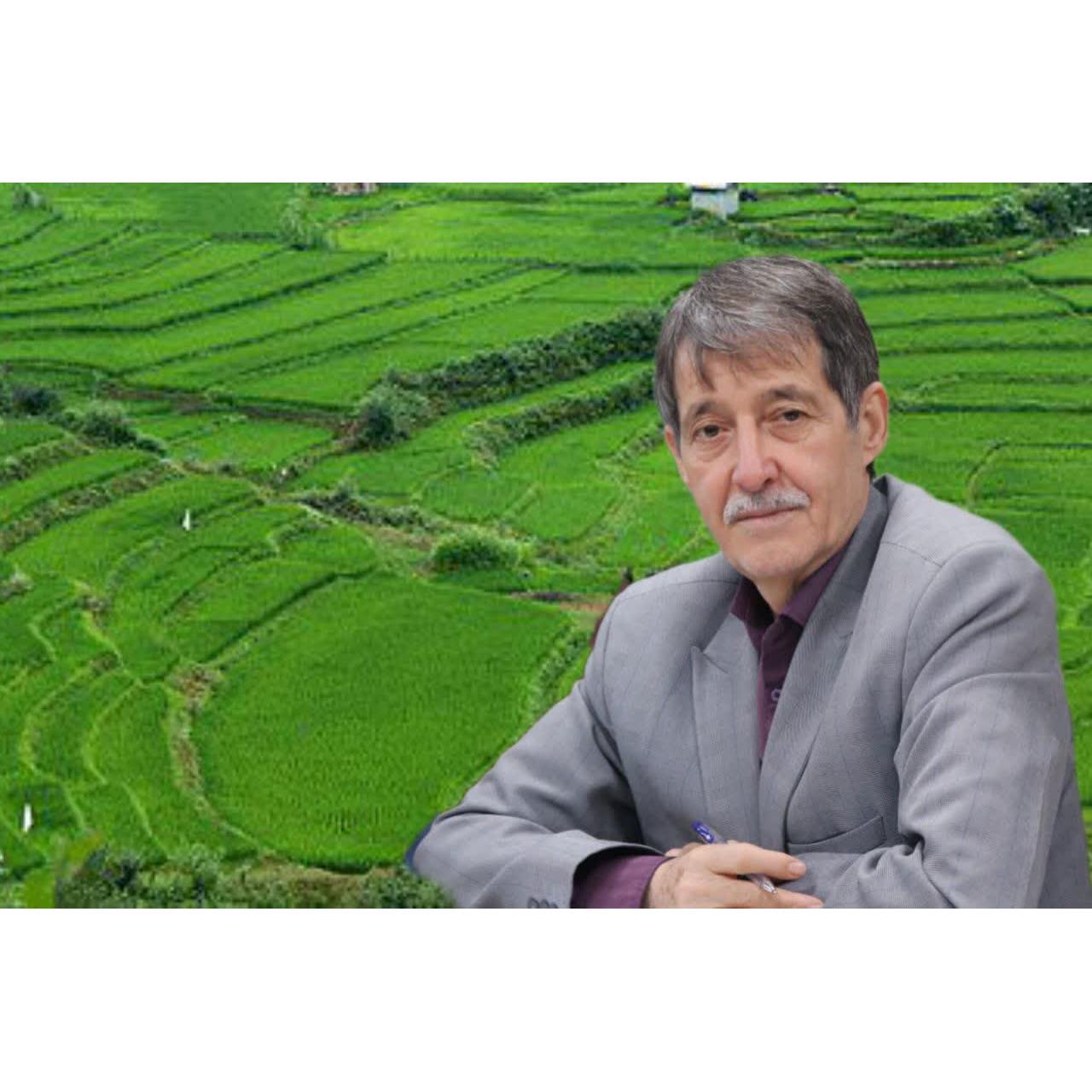 موسی الرضا کامجو