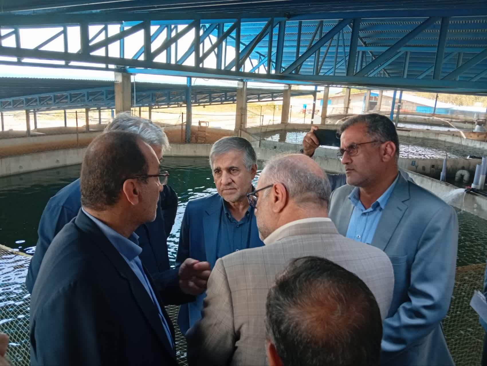  بازدید معاون استاندار و فرماندارجویبار از مجموعه پرورش ماهیان خاویاری جهادنصر در لاریم