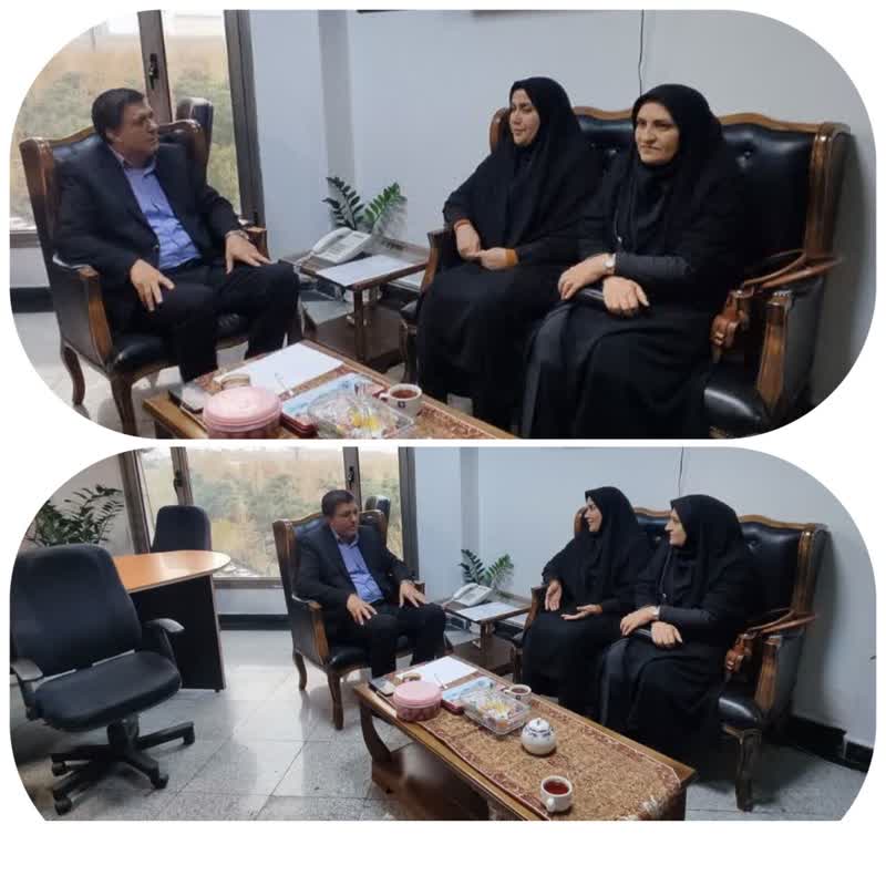 دیدار سرکارخانم دکتر قائی پاشا فرماندار شهرستان با دکترقربانی معاون امور دهیاری های سازمان شهرداری ها و دهیاری های کشور 