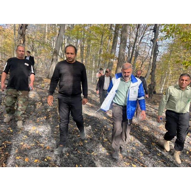 فرماندار ساری: آتش‌سوزی جنگل‌های مرزی ساری و نکا در کمتر از ۹ ساعت مهار شد