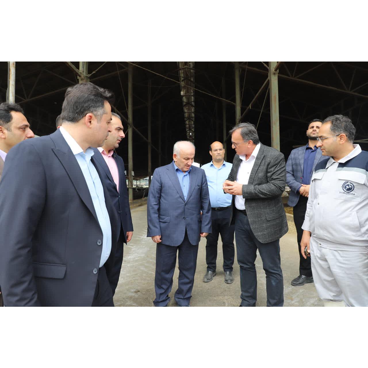 استاندار مازندران: حمایت از تولید، گامی اساسی برای تقویت امنیت غذایی است/تأکید بر تقویت زنجیره دام،لبنیات و توسعه دامپروری نوین