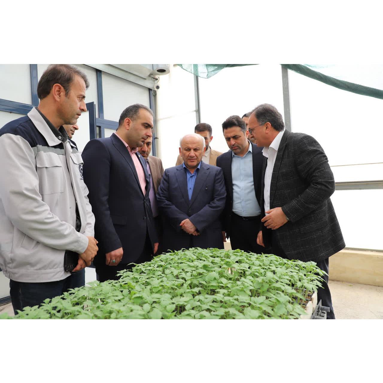 استاندار مازندران: تولید محصولات گلخانه‌ای باید باکیفیت،استاندارد و صادرات‌محور توسعه یابد /تأکید بر افزایش بهره‌وری و توسعه کشت گلخانه‌ای