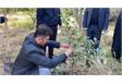 طرح کاشت نهال بیاد شهید، در شهرستان رامسر ماندگار شد .