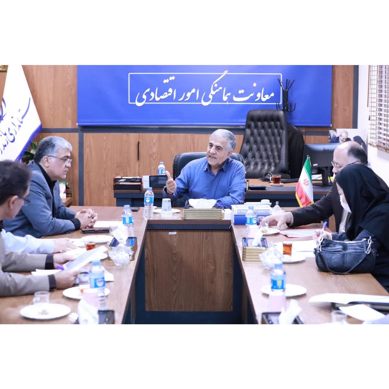 تولایی: تأمین برق کشتارگاه‌ها،بخش کشاورزی و مراکز نگهداری کالاهای اساسی در اولویت است