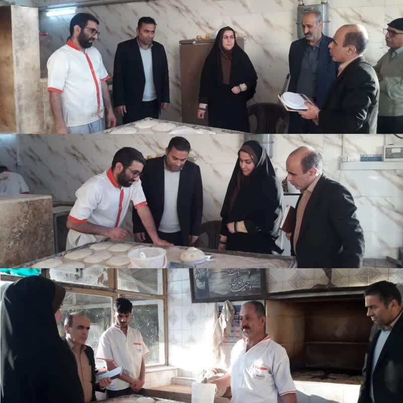 بازدید سرکار خانم دکتر قائی پاشا فرماندار از نانوایی های سطح شهرستان 