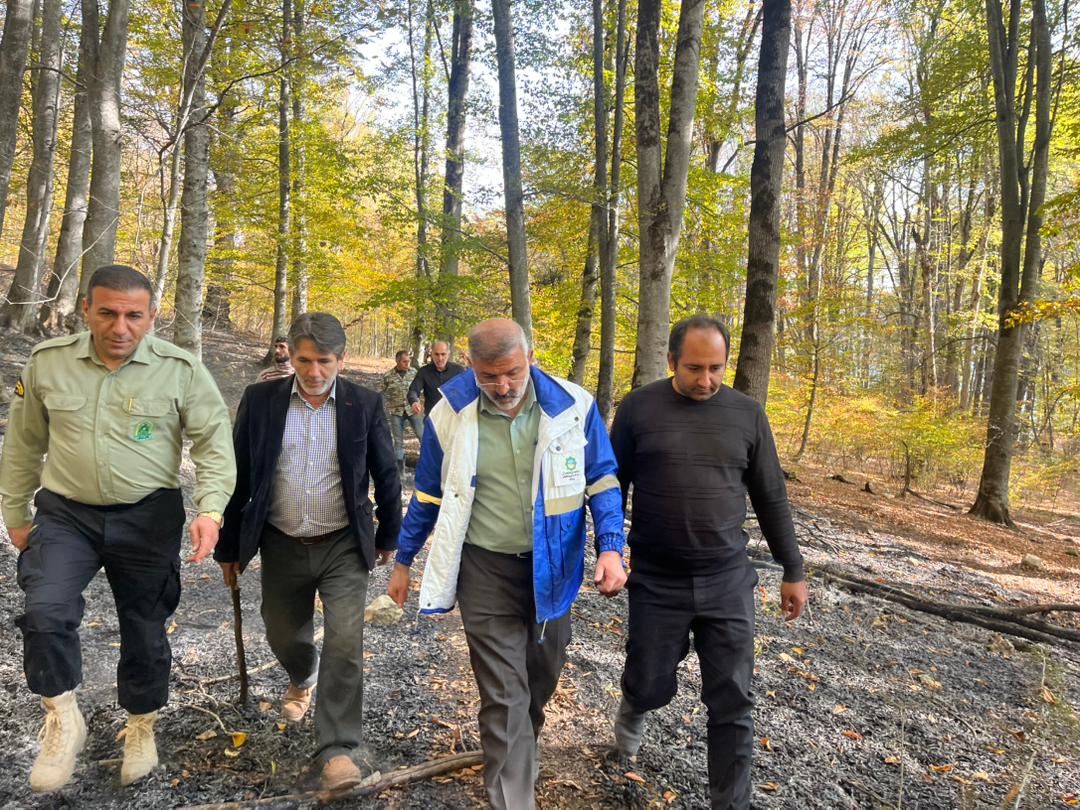 بازدید میدانی دکتر نوبخت فرماندار مرکز استان از روند عملیات اطفا و مهار آتش در جنگل‌های چورت و باباکلا بخش چهاردانگه / مهار کامل حریق در چورت و کنترل آتش در باباکلا