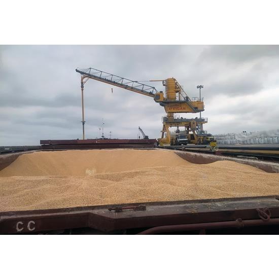  مازندران 25 درصد نهاده جو و ذرت کشور را تأمین می‌کند