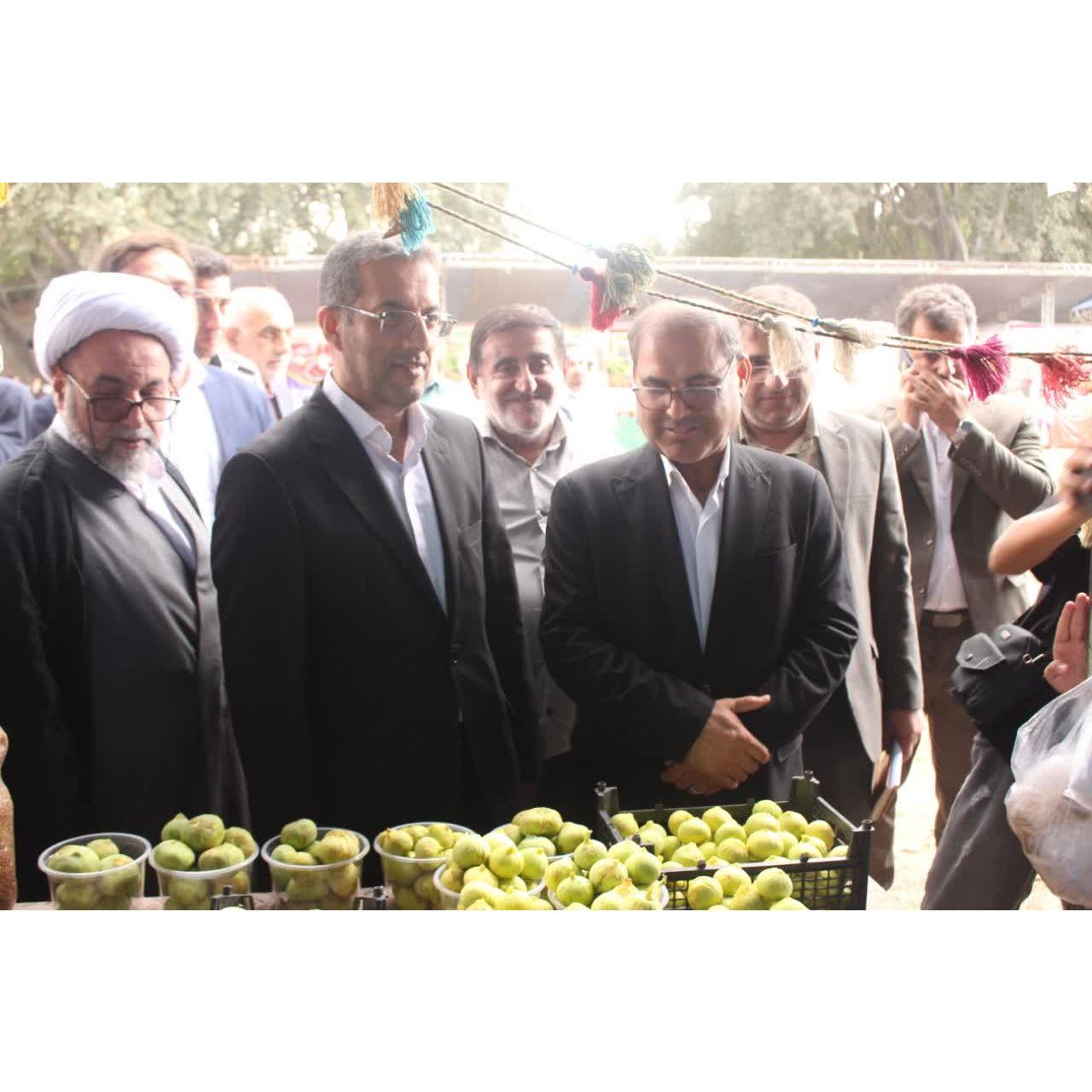 طوسی معاون استاندار مازندران: آینده انجیر گلوگاه باید از مسیر ارزش‌آفرینی و برندسازی عبور کند