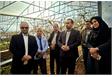 بازدید فرماندار میاندورود از گلخانه شلیل حسن‌پوری در روستای دارابکلا