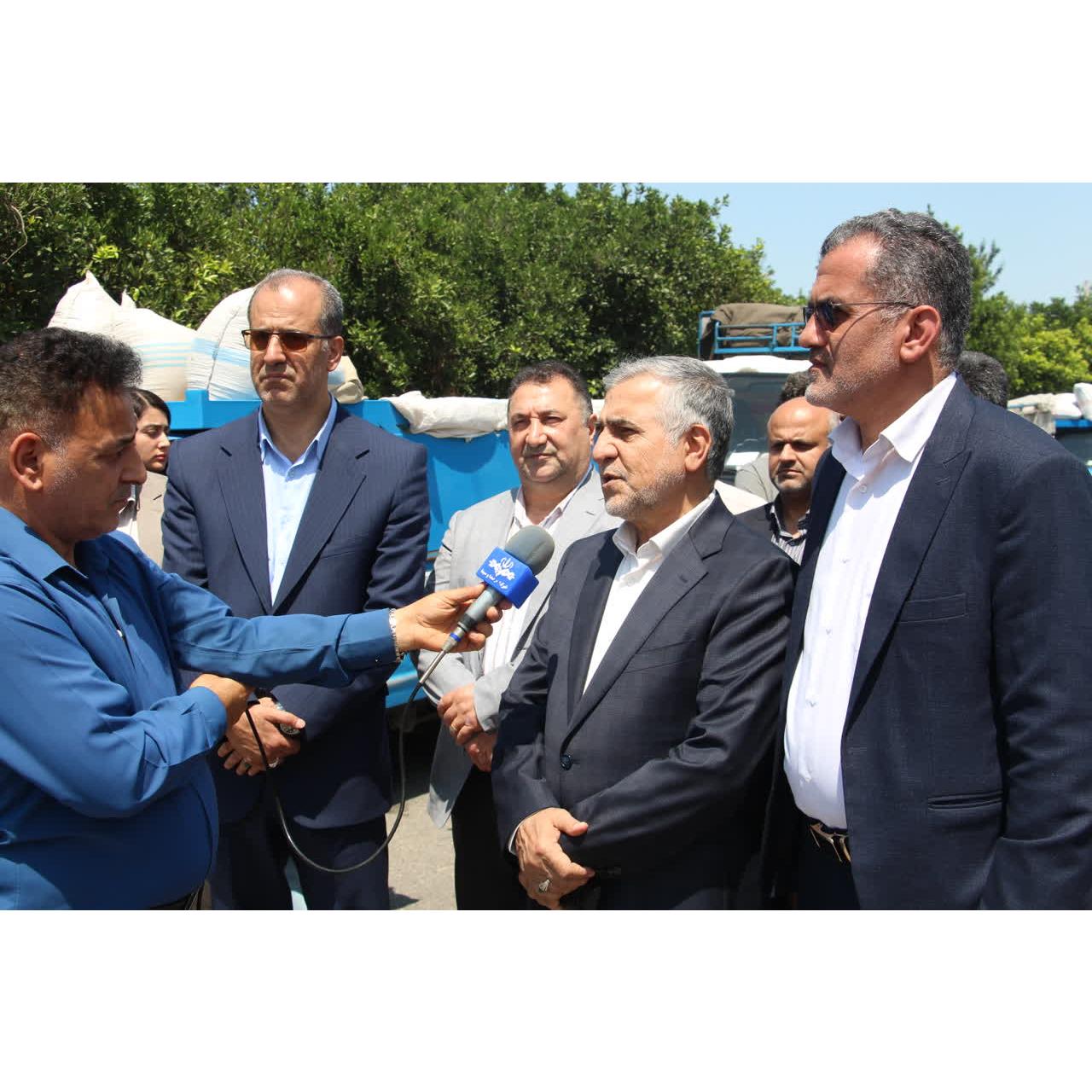 استقبال مطلوب کشاورزان مازندرانی از خرید تضمینی گندم / تحویل ۲۰ هزار تن گندم به مراکز خرید استان